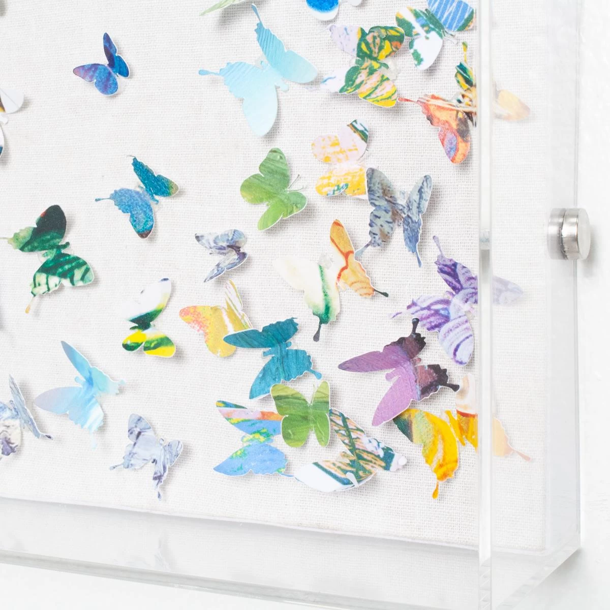 Scattered Butterflies Petite 6 Scattered Butterflies Petite - Image 4