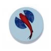 Set Of 4 Fishkoi Ceramic Coasters -Furniture Store Setof4FishkoiCeramicCoasters.01