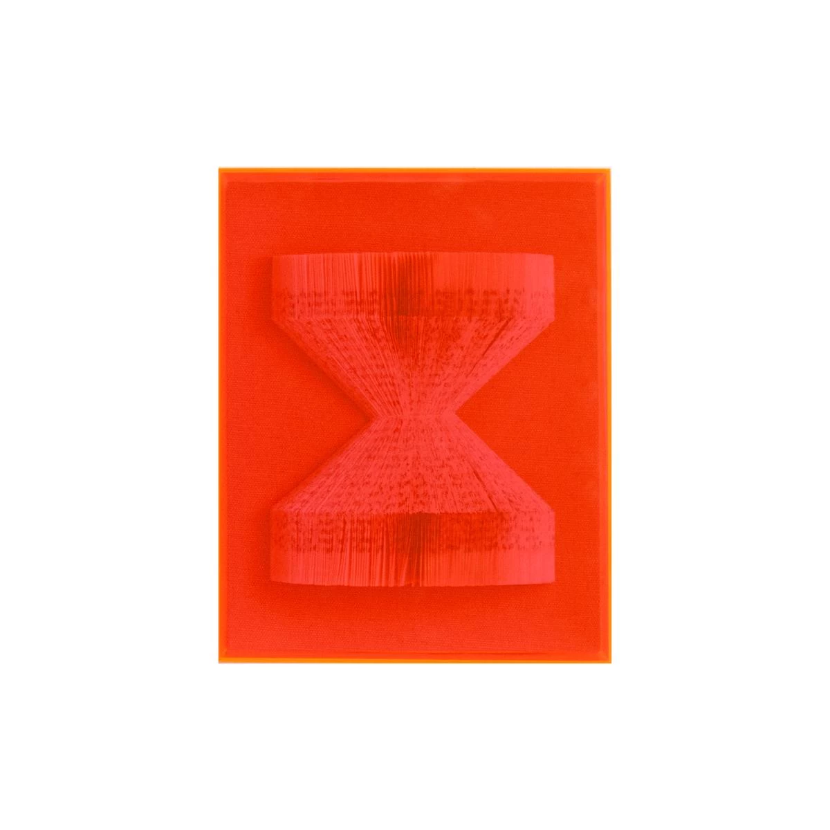 The Library Is Open Coral Maldives 3 The Library Is Open Coral Maldives