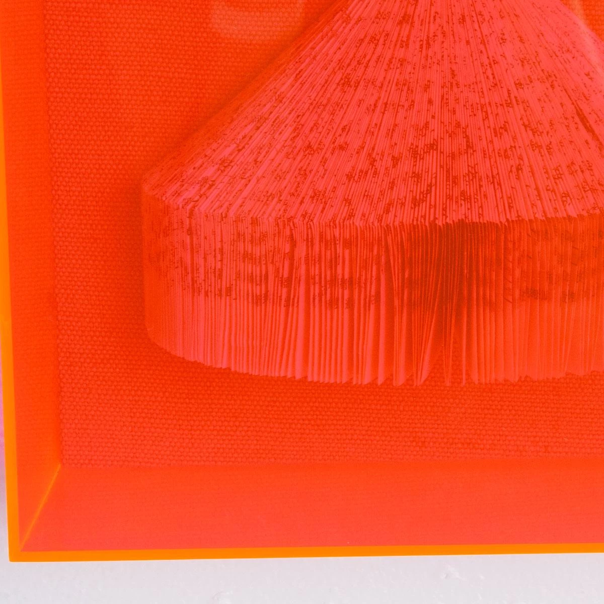 The Library Is Open Coral Maldives 5 The Library Is Open Coral Maldives - Image 3