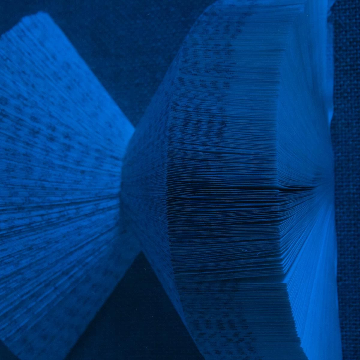 The Library Is Open Royal Blue 6 The Library Is Open Royal Blue - Image 4