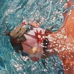 Vogue 'Women In Swimming Pool' By Fred Lyon -Furniture Store Vogue 20 Women 20In 20Swimming 20Pool 20by 20Fred 20Lyon.04